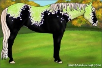 Horse Color:Watercolor White Spotted Liver Chestnut Ice