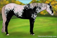 Horse Color:Watercolor White Spotted Gold Champagne Ice 