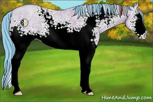 Horse Color:Watercolor White Spotted Classic Champagne Ice Dun Sabino 