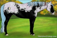 Horse Color:Watercolor White Spotted Classic Champagne Ice Dun Sabino 