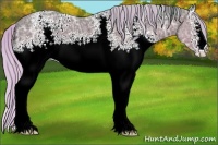 Horse Color:Watercolor White Spotted Silver Black Ice