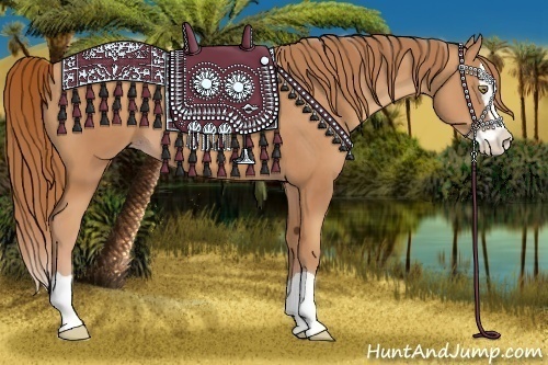 Horse Color:Gold Champagne Splash