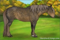 Horse Color:Chocolate Palomino Sabino 