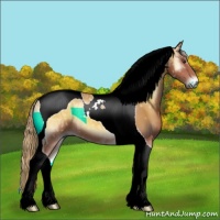 Horse Color:Red Onyx Ice Tobiano 