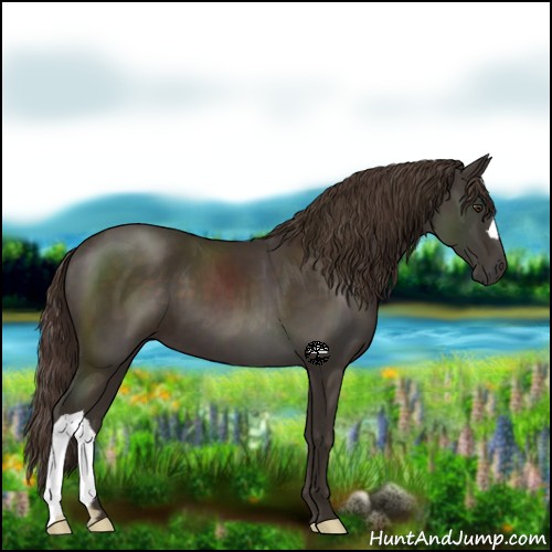 Horse Color:Liver Chestnut 