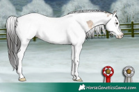Horse Color:Brown Dun Sabino Splash Tobiano Rabicano 