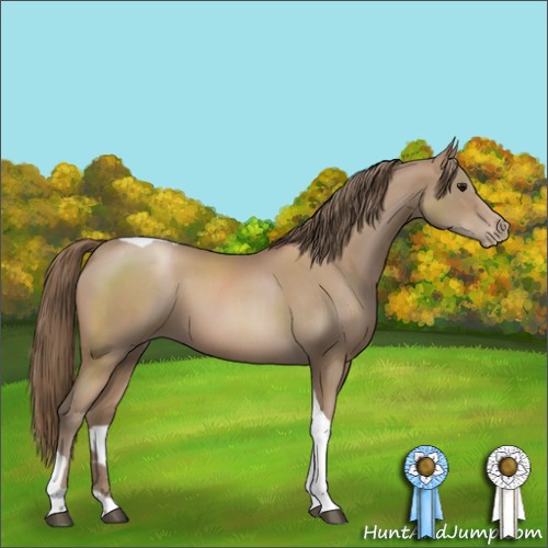 Horse Color:Black Pearl Sabino Tobiano 