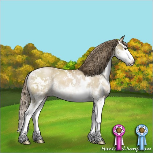 Horse Color:Grullo Pearl Sabino Splash 
