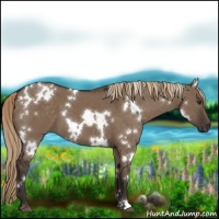 Horse Color:White Spotted Liver Red Dun 