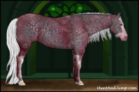 Horse Color:Silver Black Chinchilla Ice Splash 