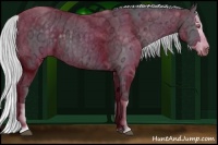 Horse Color:Silver Black Chinchilla Ice Splash 