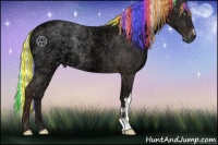 Horse Color:Painted Liver Chestnut Ice Mushroom