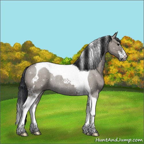 Horse Color:Grullo Sabino Tobiano Rabicano