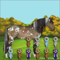Horse Color:White Spotted Buckskin Mushroom Rabicano 