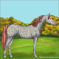 Horse Color:Painted Perlino Ice Onyx