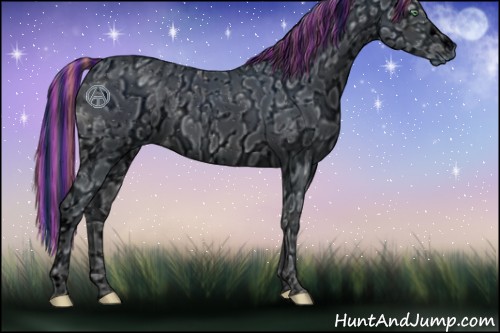 Horse Color:ERROR: UNKNOWN ANOMALY and ERROR: UNKNOWN ANOMALY