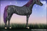 Horse Color:ERROR: UNKNOWN ANOMALY and ERROR: UNKNOWN ANOMALY