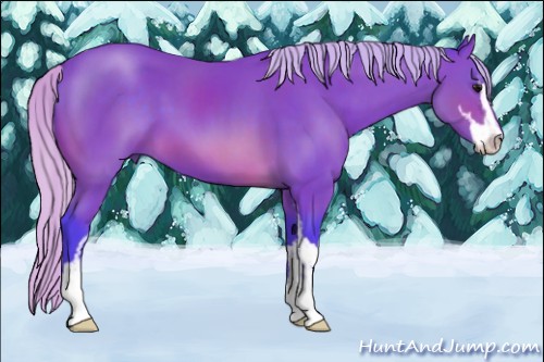 Horse Color:Watercolor Silver Brown Sabino 