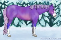 Horse Color:Watercolor Silver Brown Sabino
