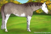 Horse Color:Chocolate Brown Dun Splash