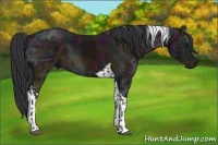 Horse Color:Midnight Bay Ice  and Midnight Brown Ice Tobiano 