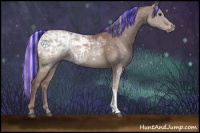 Horse Color:Painted Chocolate Silver Black Ice 