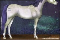 Horse Color:Watercolor Bay Ice Onyx Rabicano 