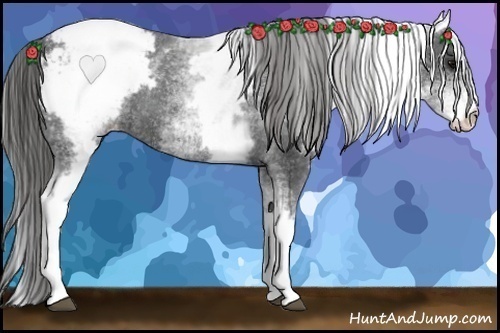 Horse Color:White Spotted Black Snowcap Rabicano 