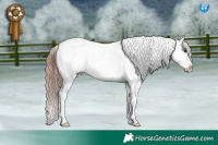 Horse Color:Classic Champagne Dun Splash Snowcap 