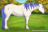 Horse Color:Painted Cremello Dun 