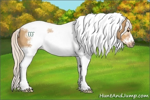 Horse Color:White Spotted Silver Bay Dun Tobiano Frame Rabicano 