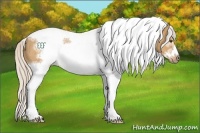 Horse Color:White Spotted Silver Bay Dun Tobiano Frame Rabicano 