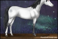 Horse Color:Brown Chinchilla Dun Mushroom 