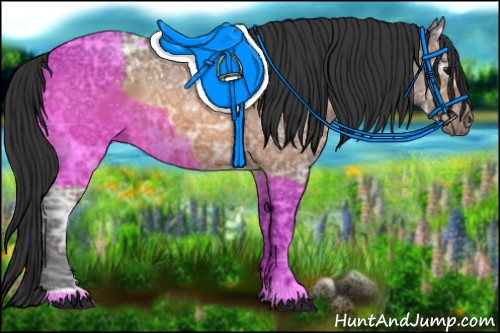 Horse Color:Bay Ice 