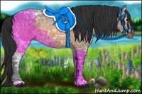 Horse Color:Bay Ice 
