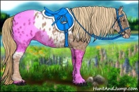 Horse Color:Chestnut Ice Appaloosa 