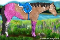 Horse Color:Bay Ice 