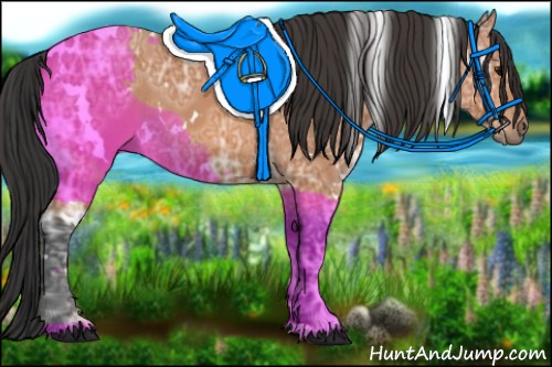 Horse Color:White Spotted Bay Ice Rabicano