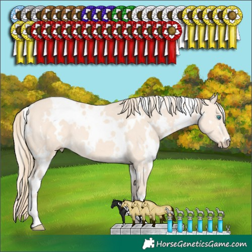 Horse Color:White Spotted Perlino