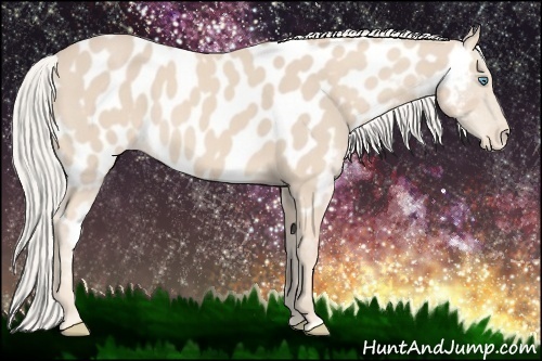 Horse Color:Cremello Near Leopard