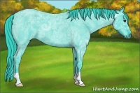 Horse Color:Watercolor Blue Ice Roan 