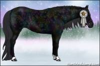 Horse Color:Midnight Black Ice 