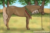 Horse Color:Chocolate Palomino