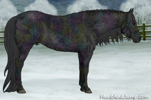 Horse Color:Midnight Black Ice