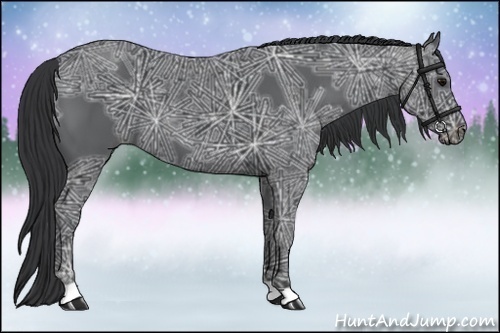 Horse Color:Black Ice 
