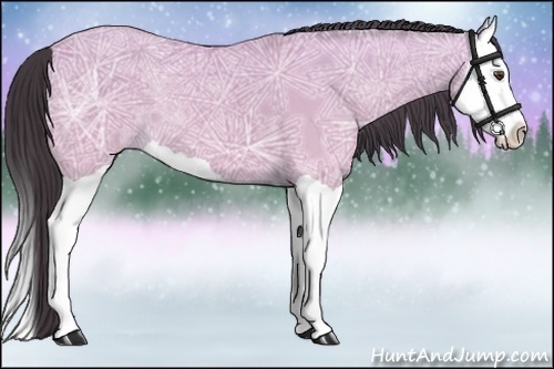 Horse Color:Buckskin Ice Dun Splash