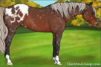 Horse Color:Silver Brown Roan Snowflake Varnish