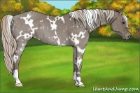 Horse Color:White Spotted Silver Grullo Varnish