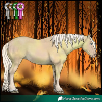 Horse Color:Cremello 