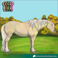 Horse Color:Cremello 
